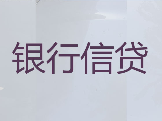 驻马店本地贷款中介公司